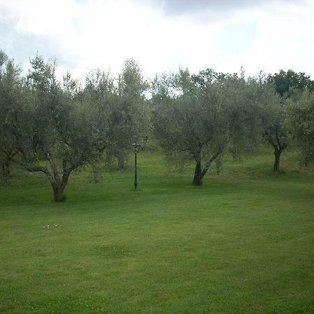 Forum Cassii Vetralla Bagian luar foto