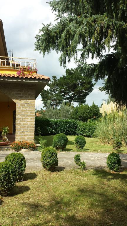 Forum Cassii Vetralla Bagian luar foto