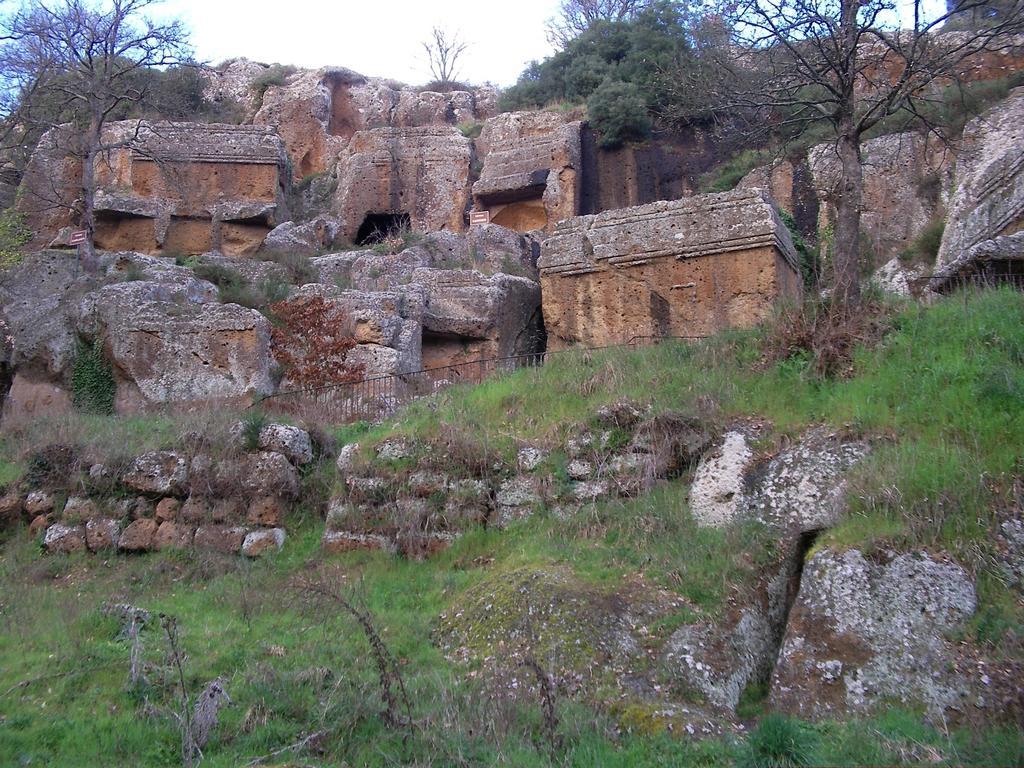 Forum Cassii Vetralla Bagian luar foto